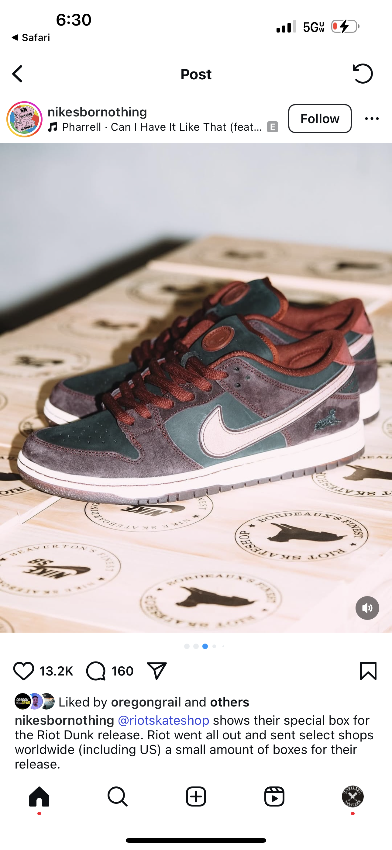 Nike SB Dunk Low
Riot Skateshop (Special Box)