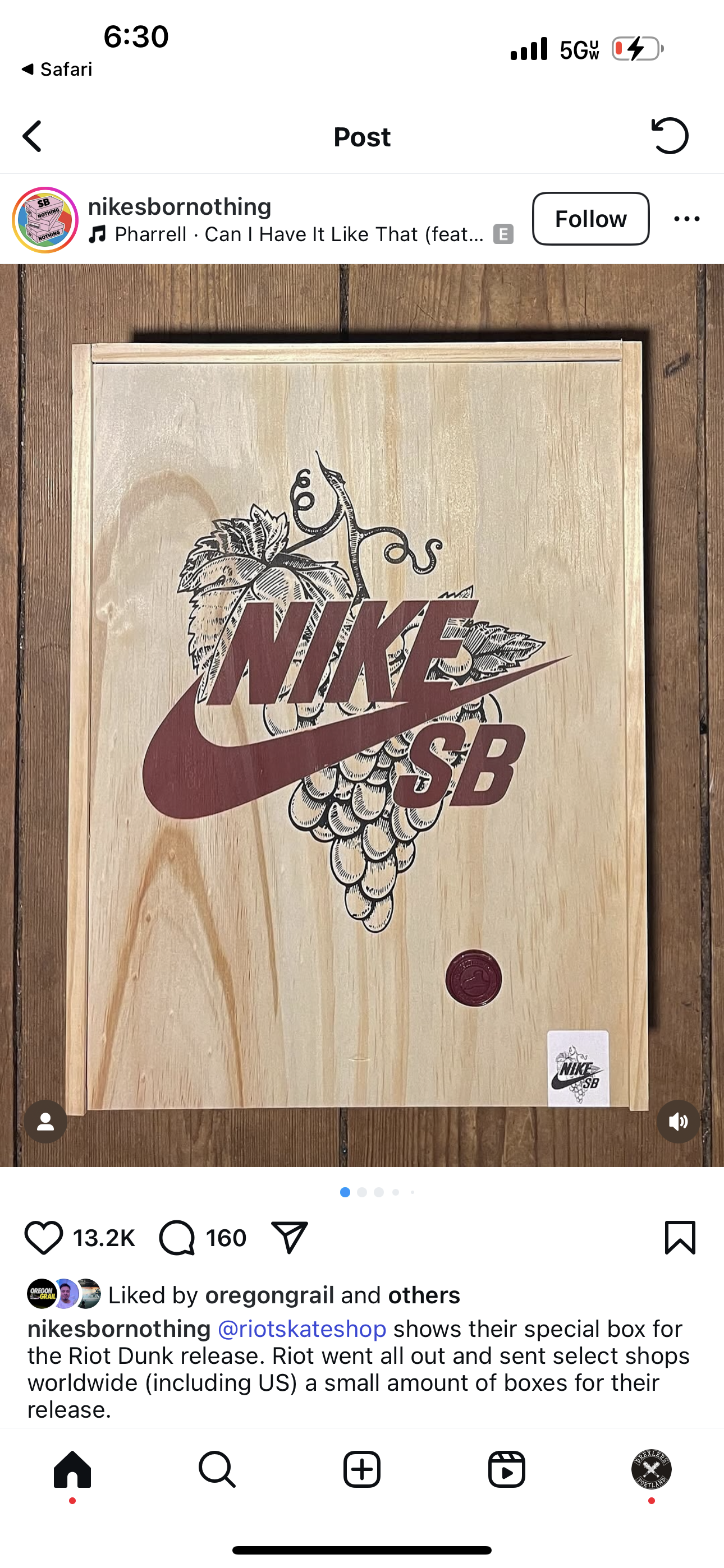 Nike SB Dunk Low
Riot Skateshop (Special Box)