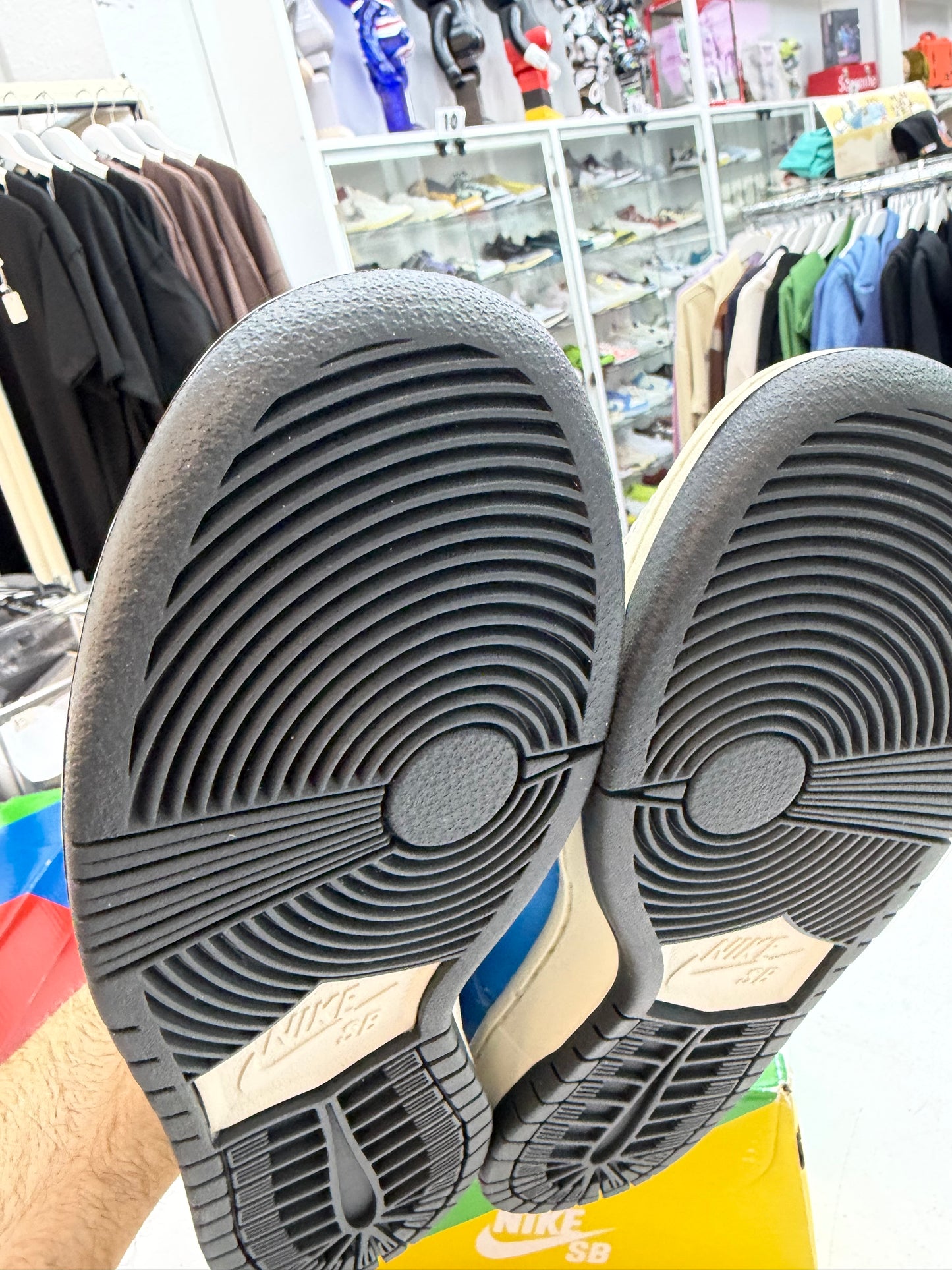 Nike SB Dunk Low Instant Skateboards