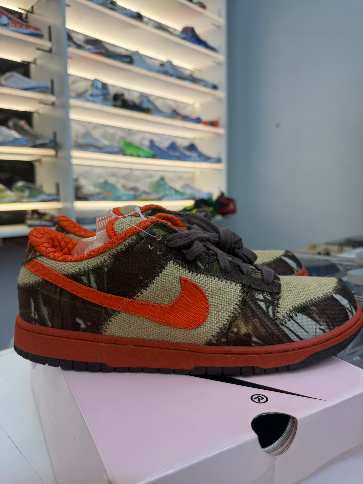 Nike SB Dunk Low Reese Forbes Hunter 2004