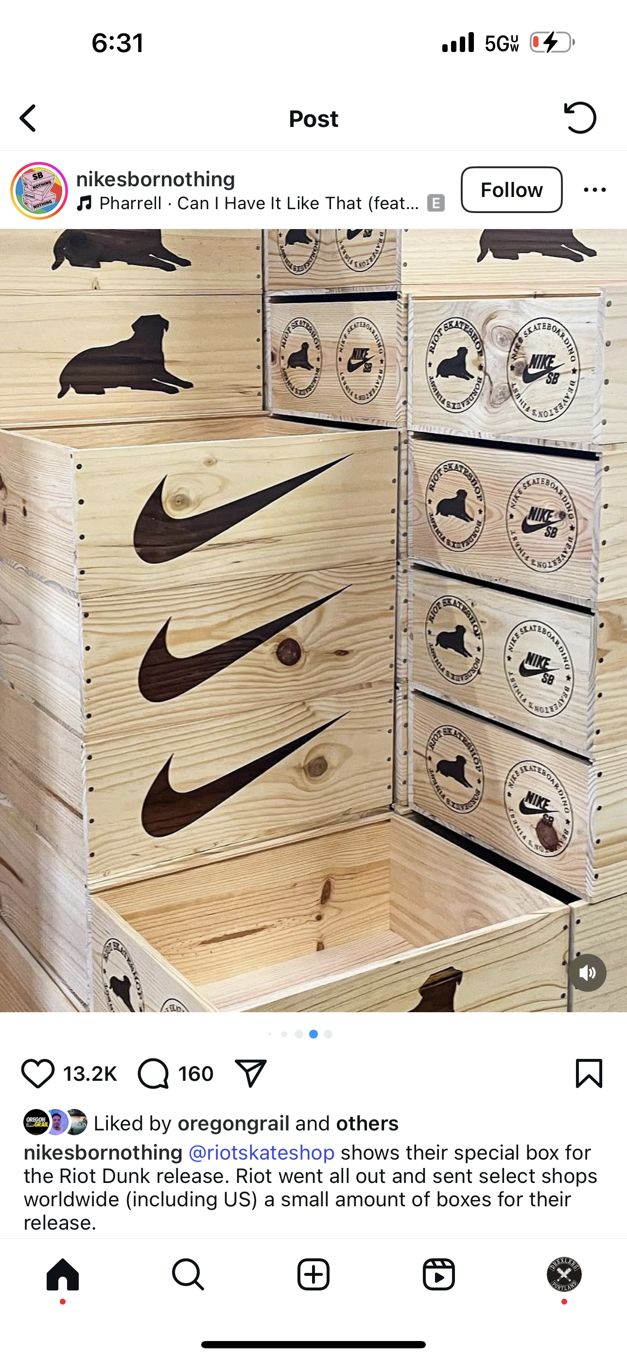 Nike SB Dunk Low
Riot Skateshop (Special Box)