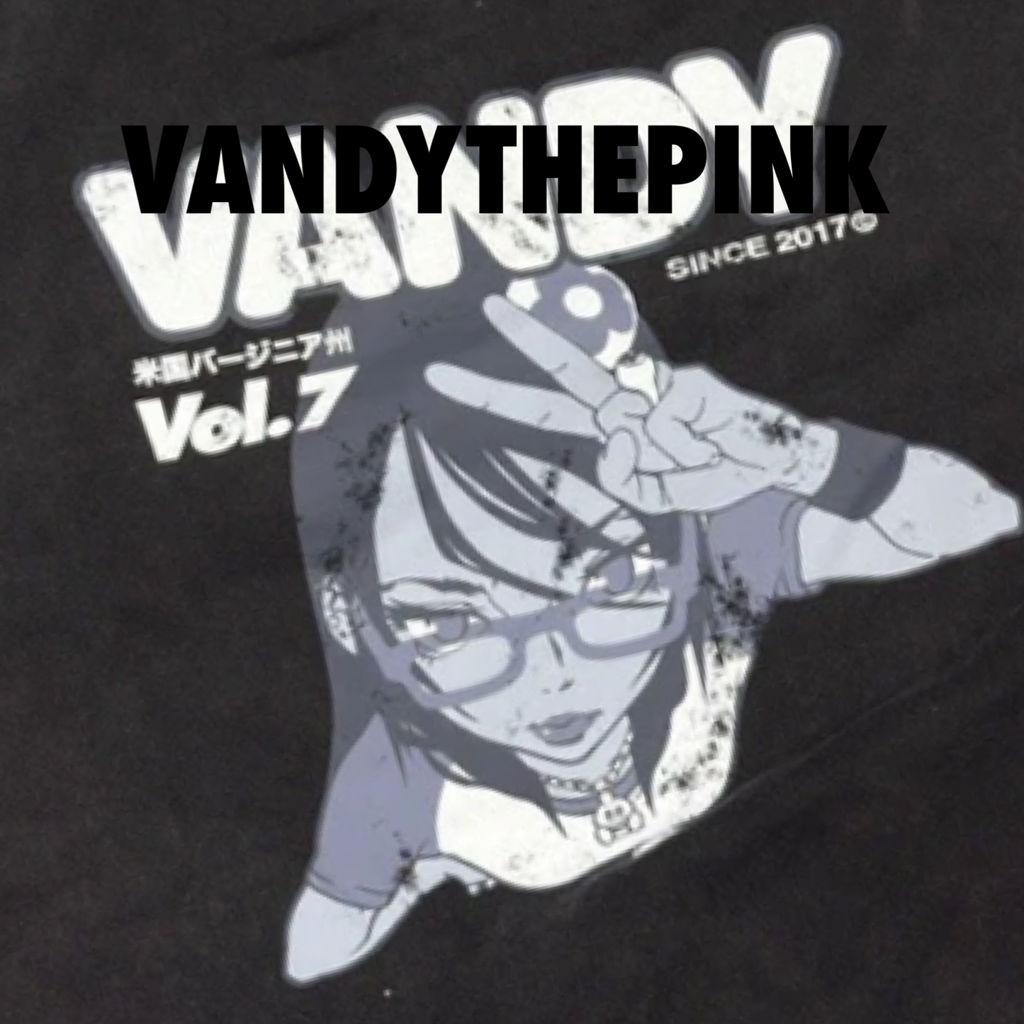 Vandy The Pink Anime Girl Crewneck