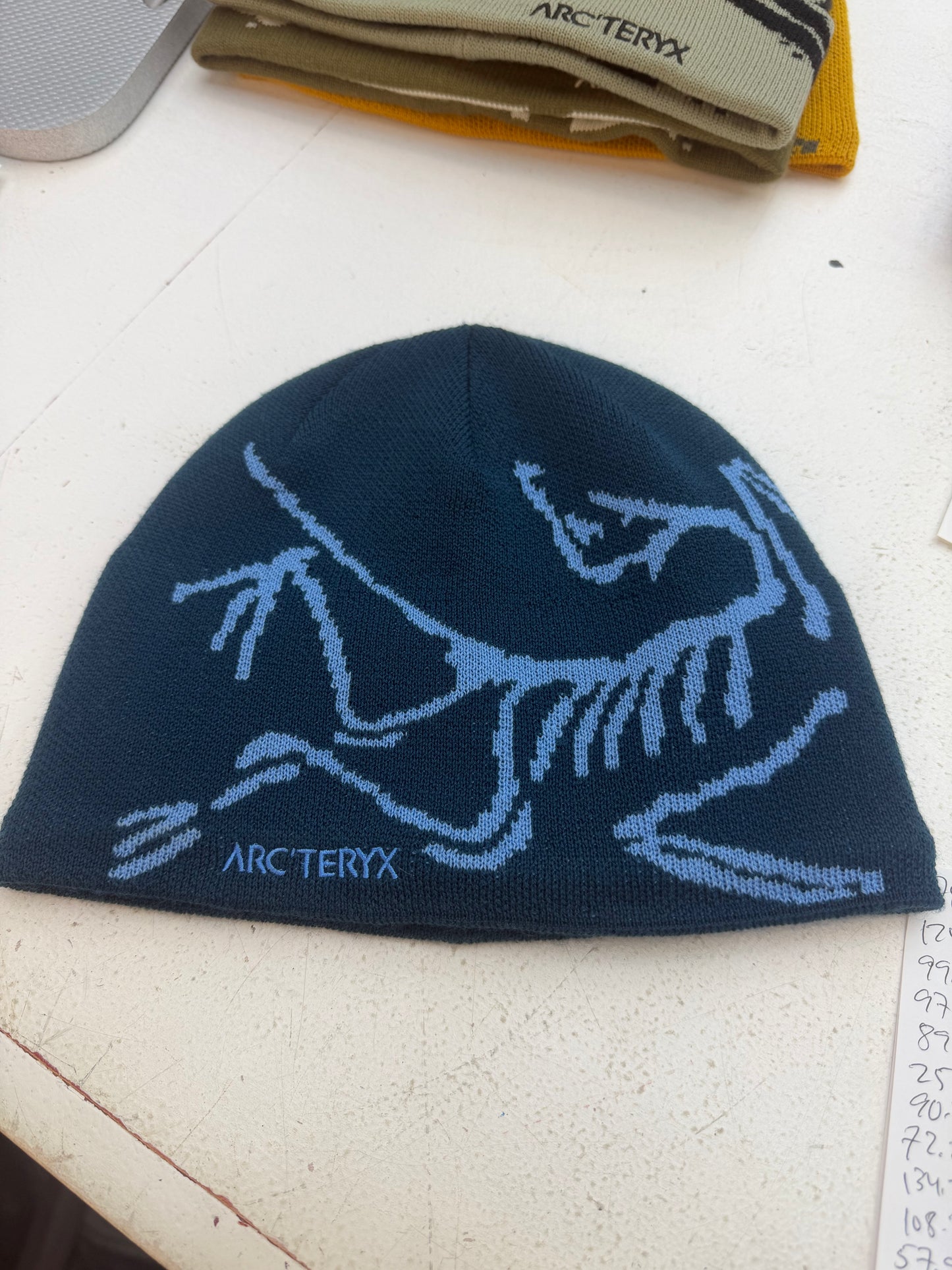 ARC’TERYX Bird Head Toque Nightscape/Glacial beanie