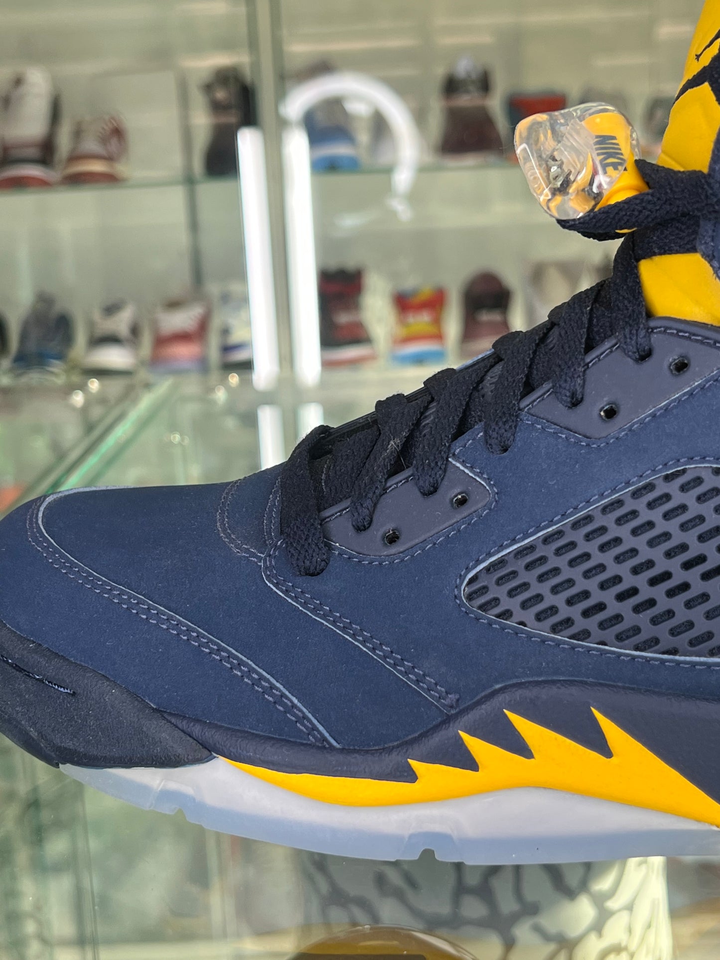 Jordan 5 Michigan PE 2017 sample size 10.5