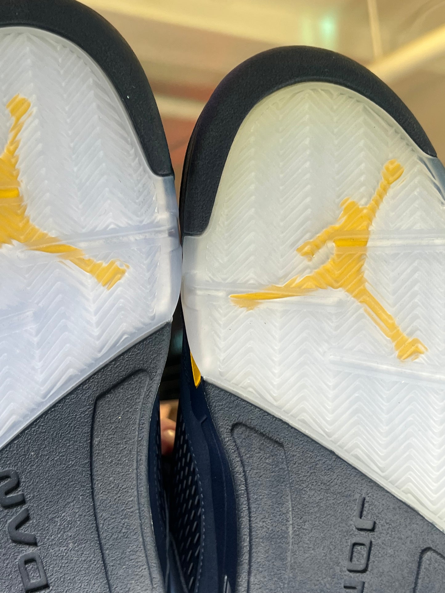 Jordan 5 Michigan PE 2017 sample size 10.5