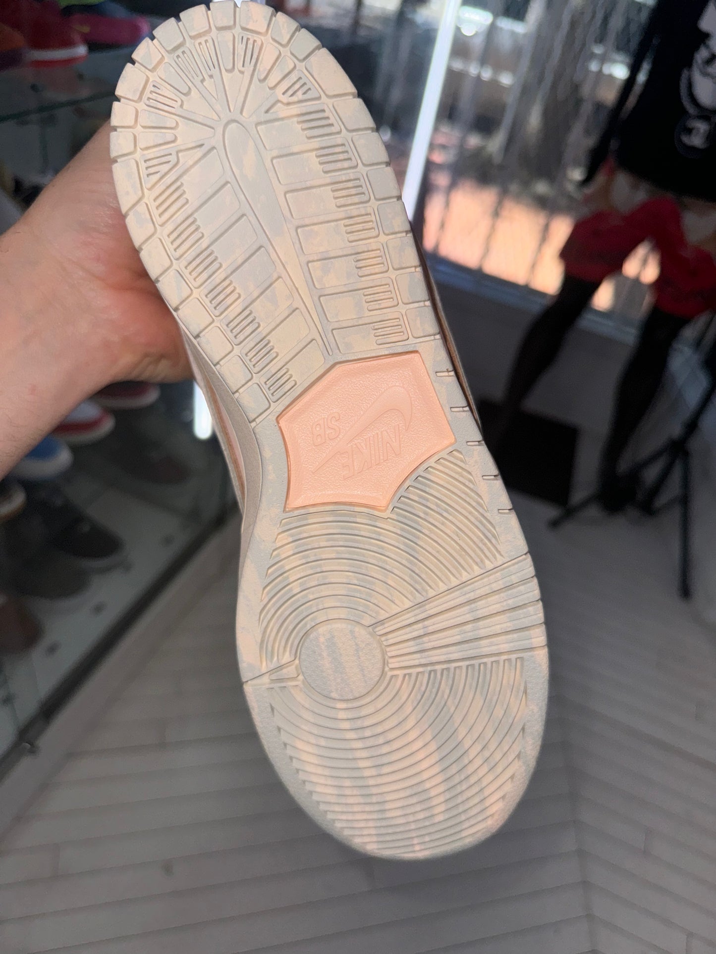 Nike SB Dunk Low
Trocadéro Gardens