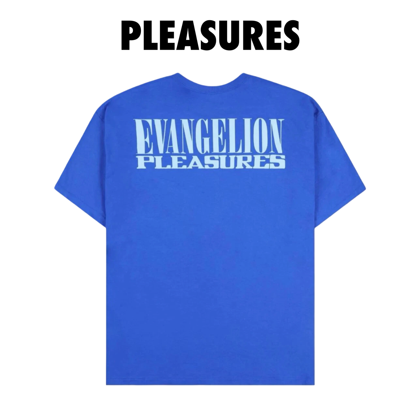 Pleasures REI T-SHIRT Blue