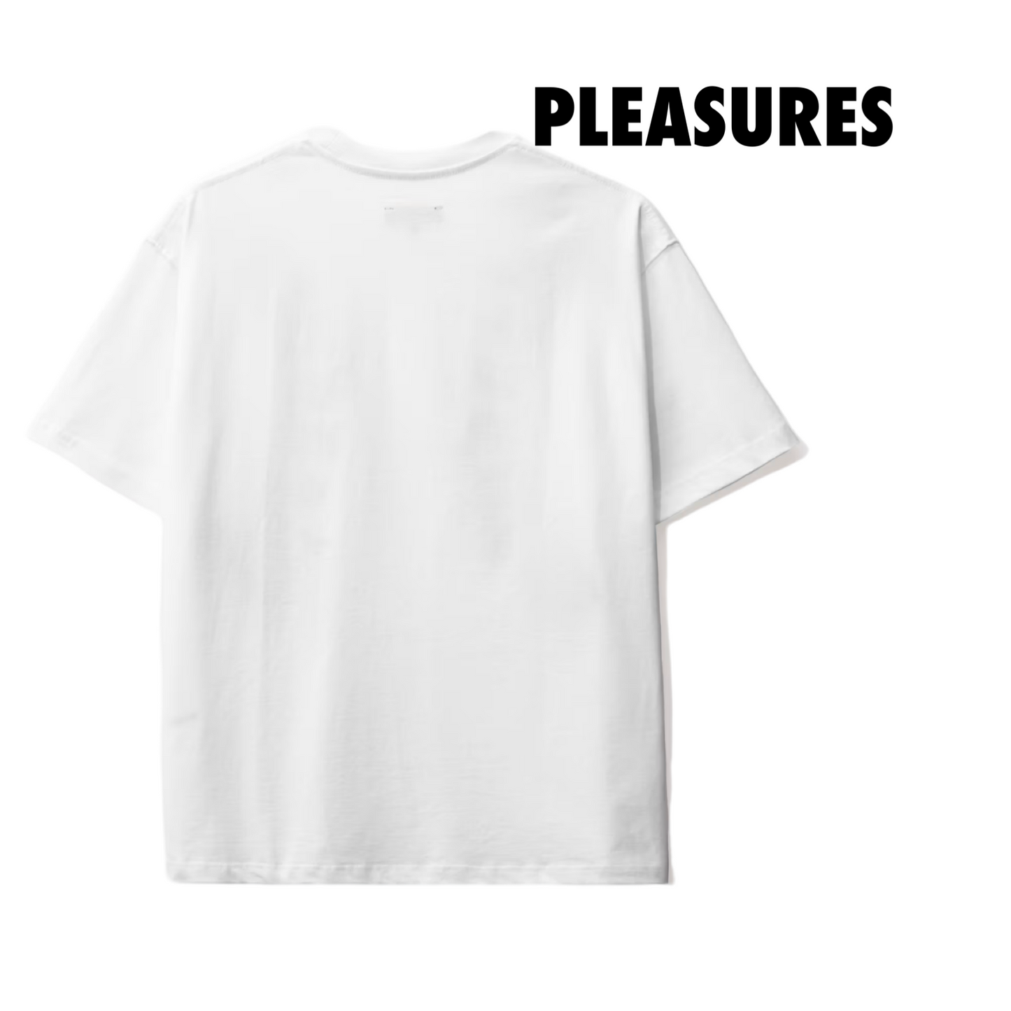 PLEASURES HARNESS HEAVYWEIGHT T-SHIRT