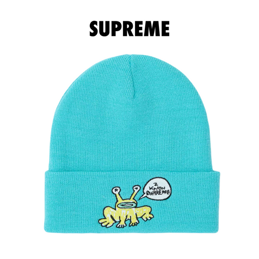 Supreme Daniel Johnston Beanie Turquoise