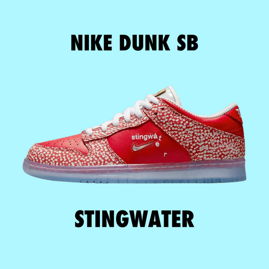 Nike Dunk SB STINGWATER