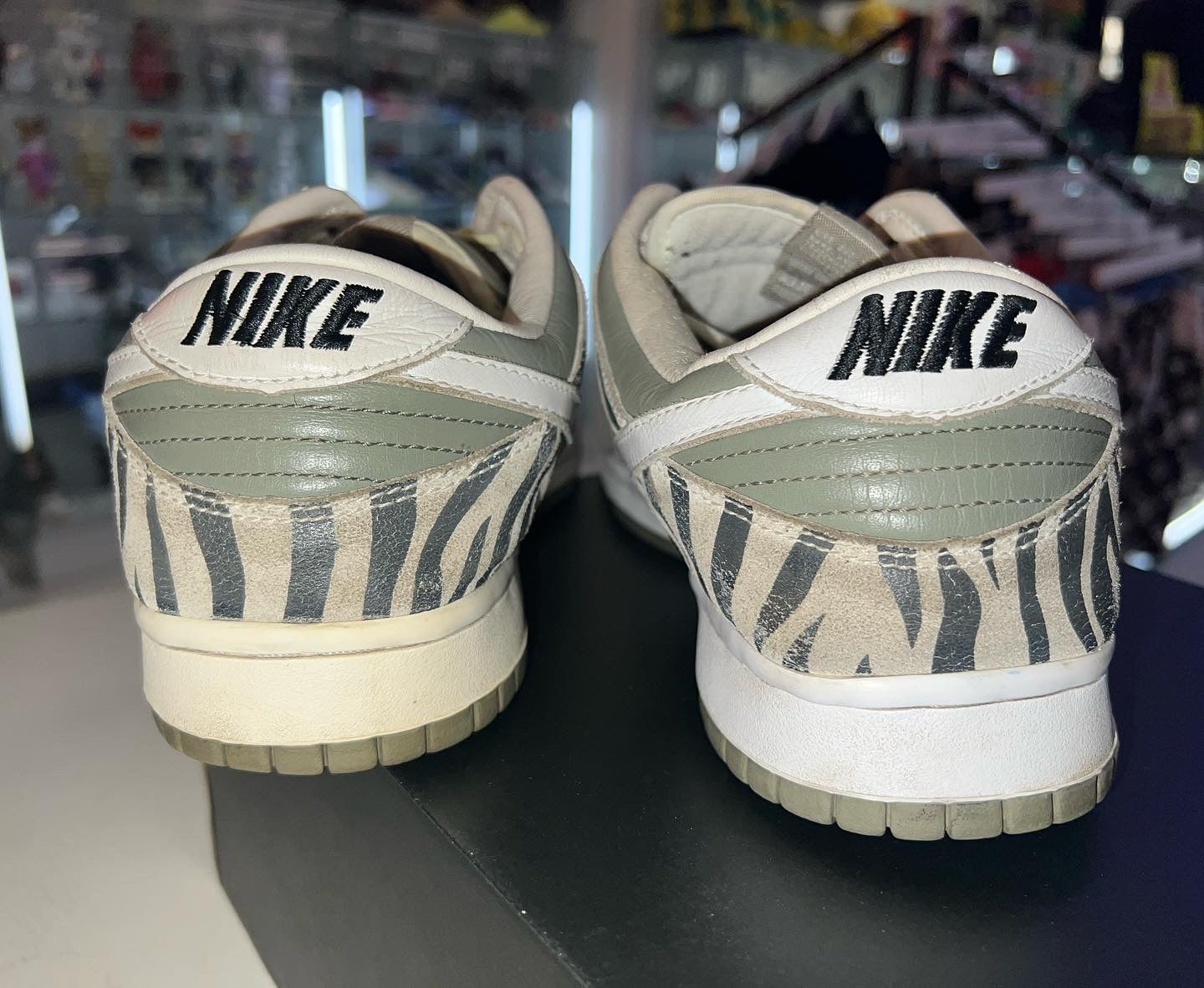 2003 Dunk Daktari