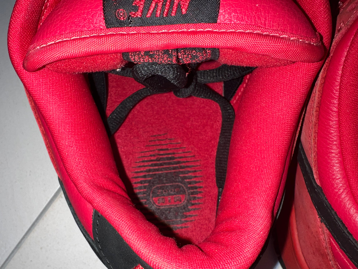 Nike Dunk SB Pure Blood 2003