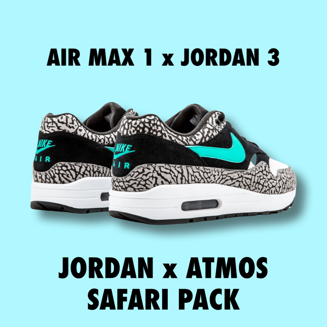 Jordan x Atmos Safari Pack Jordan3 + Air max 1