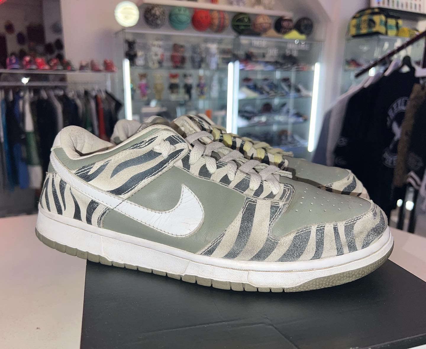 2003 Dunk Daktari