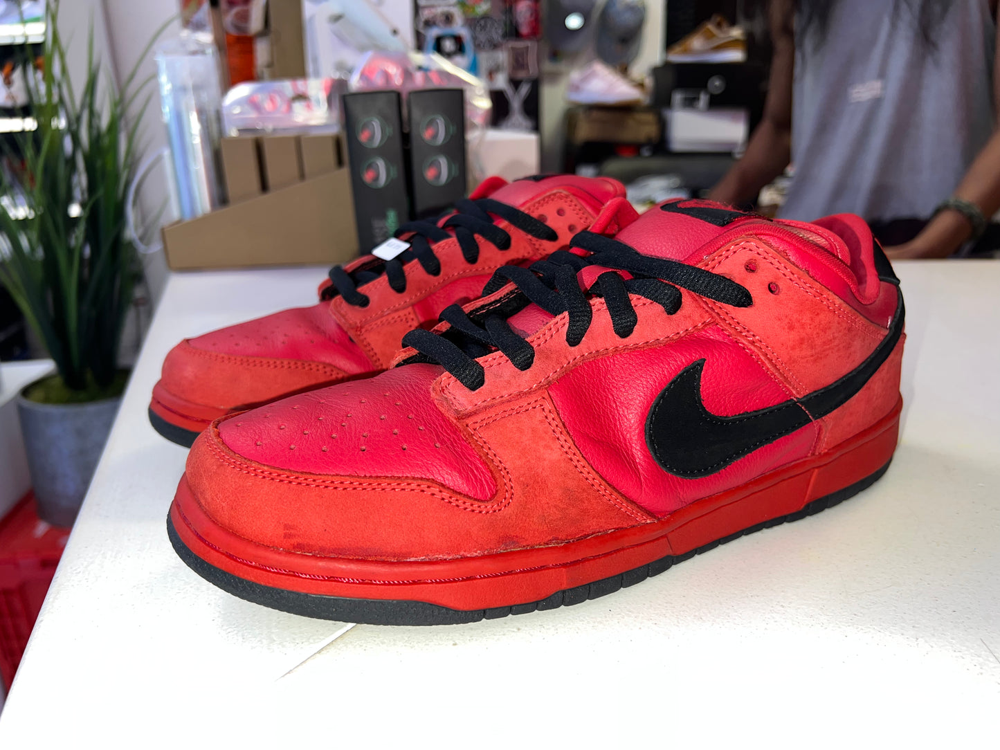 Nike Dunk SB Pure Blood 2003