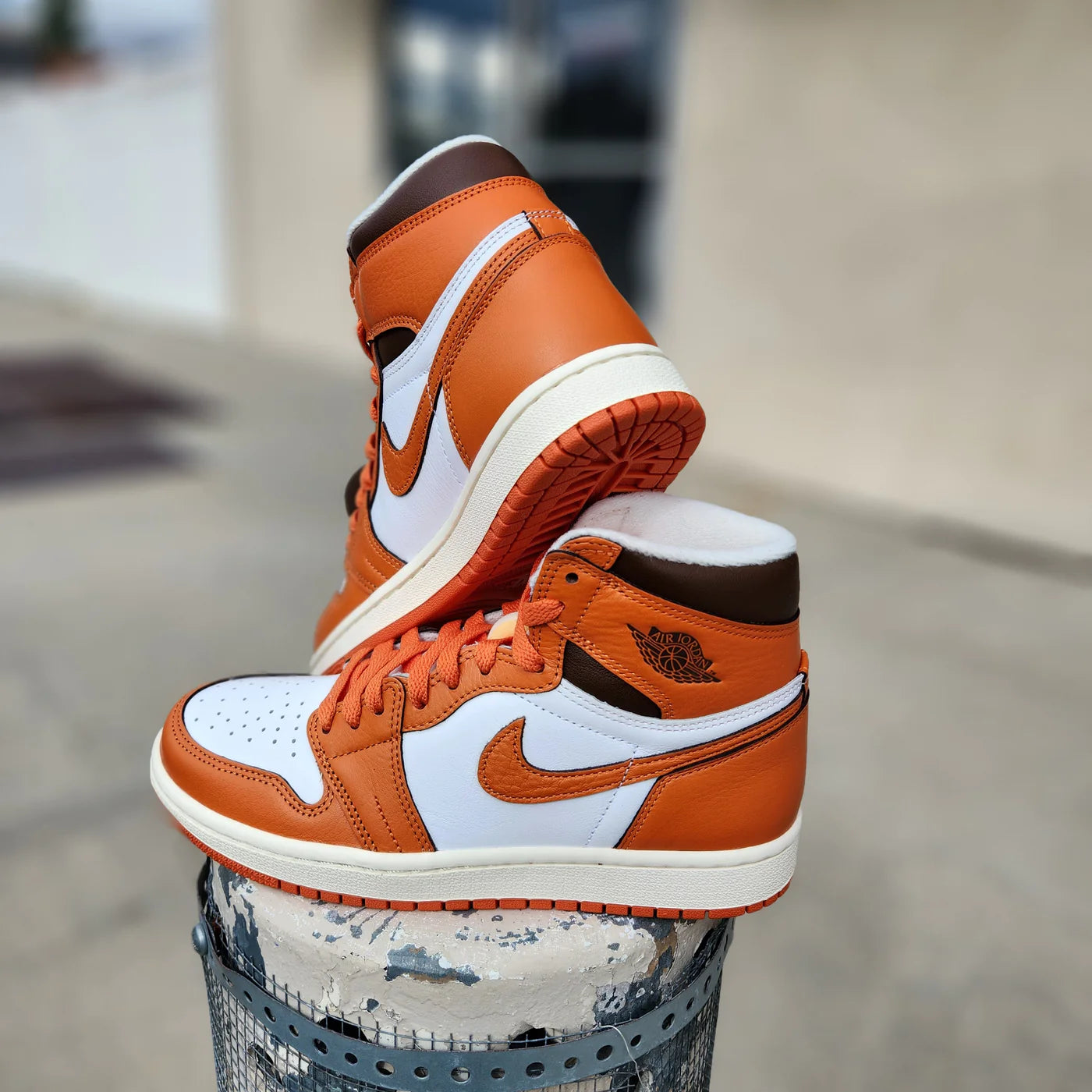 Jordan 1 High (W) starfish