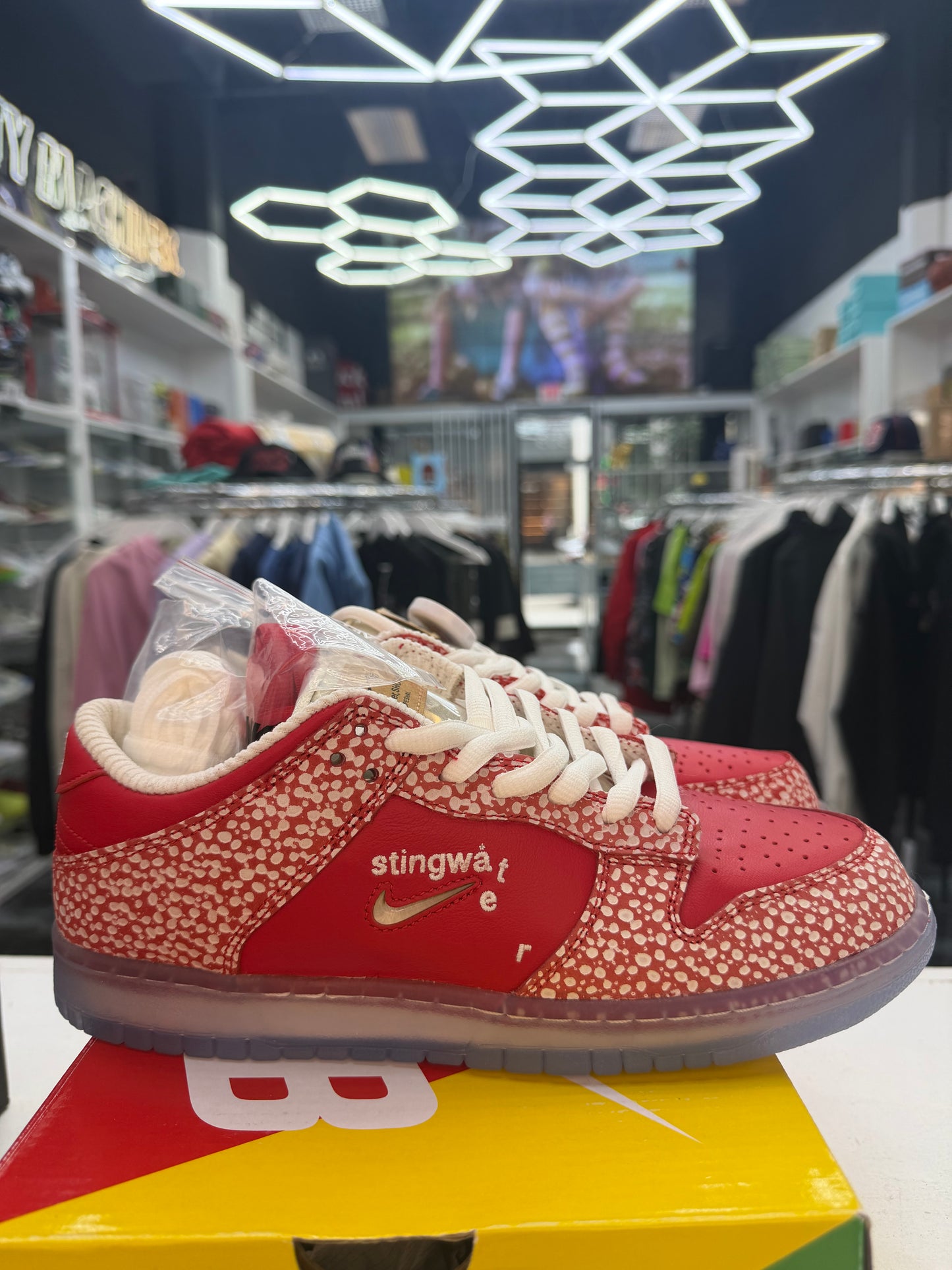 Nike Dunk SB STINGWATER
