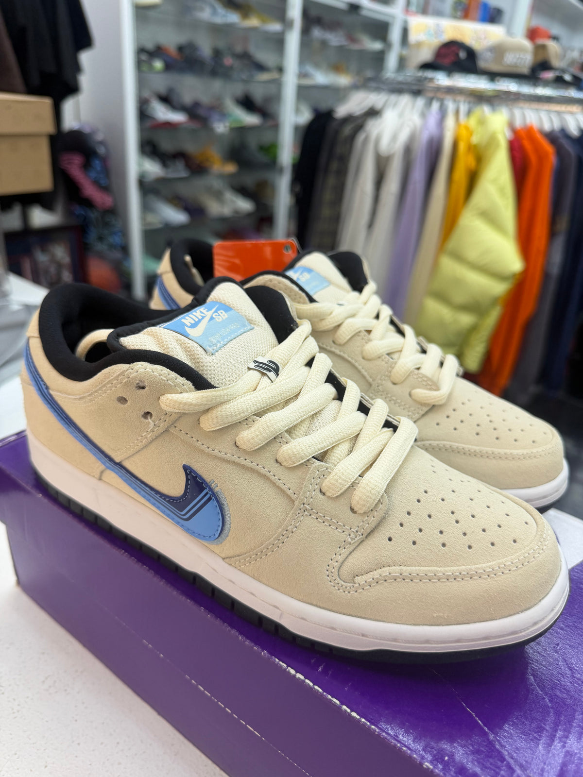 Nike Dunk Sb Truck It
