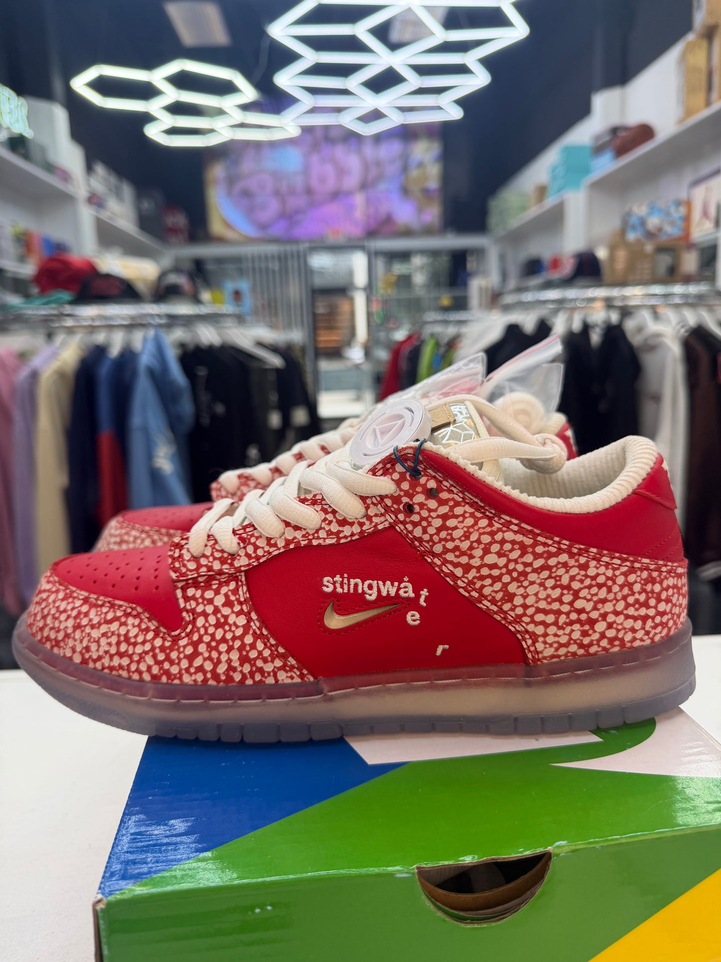 Nike Dunk SB STINGWATER