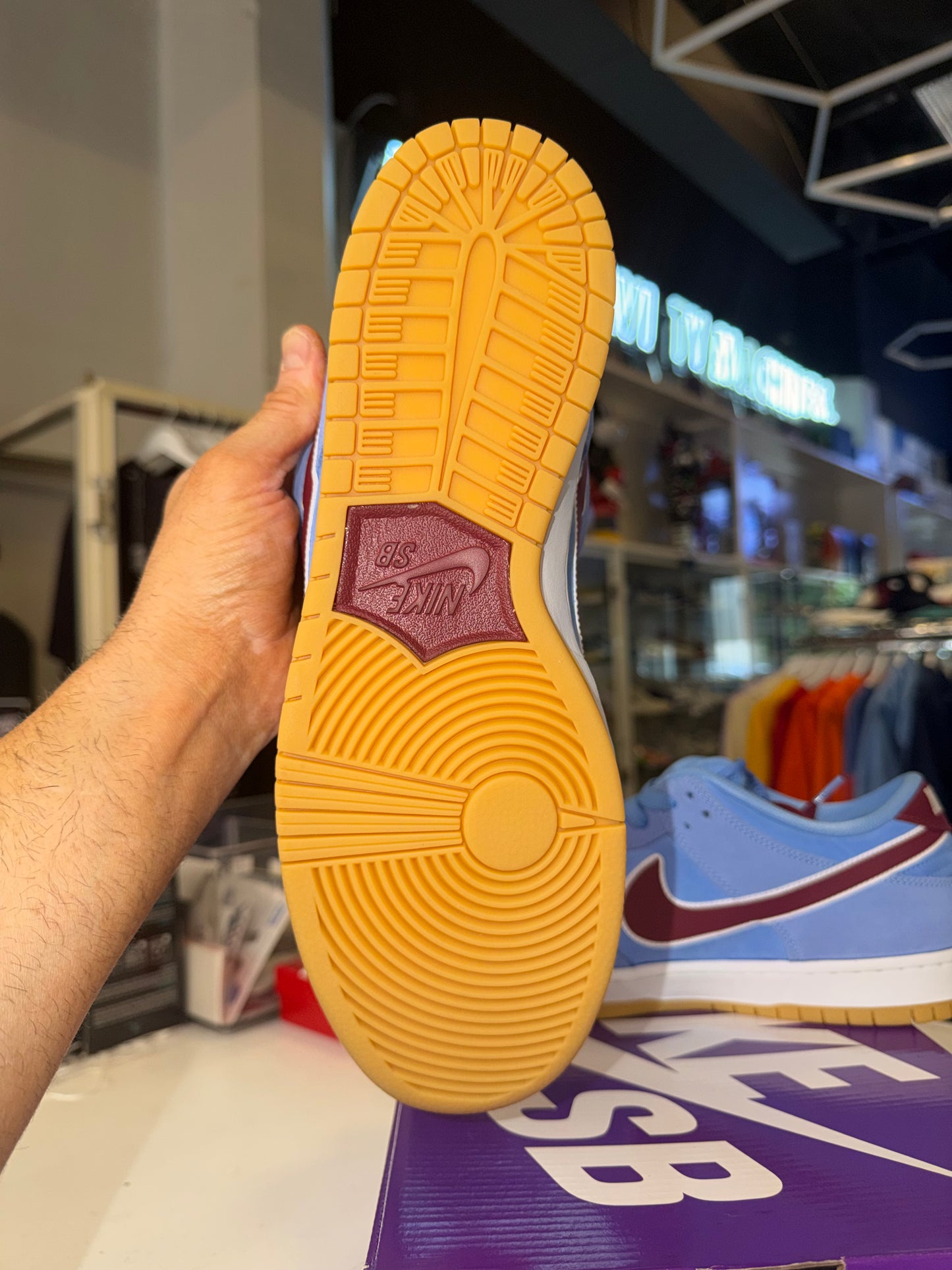 Nike Dunk SB Phillies