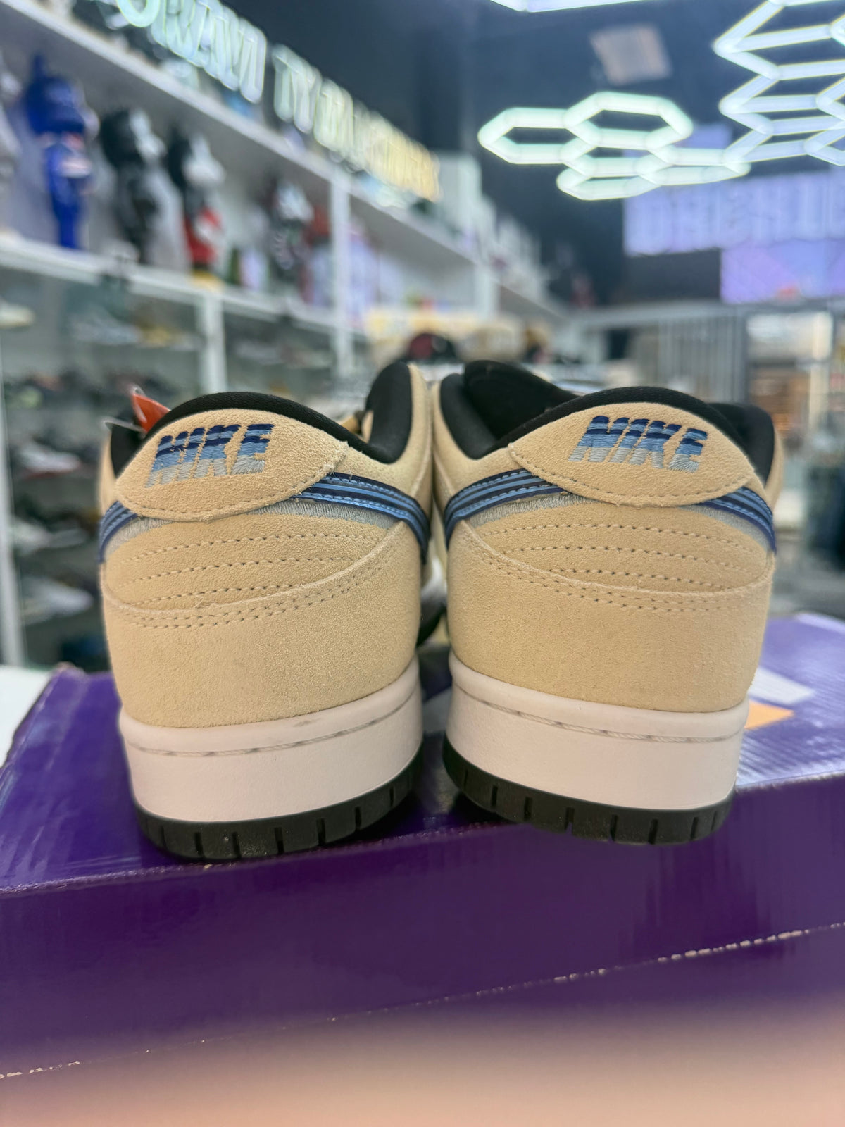 Nike Dunk Sb Truck It
