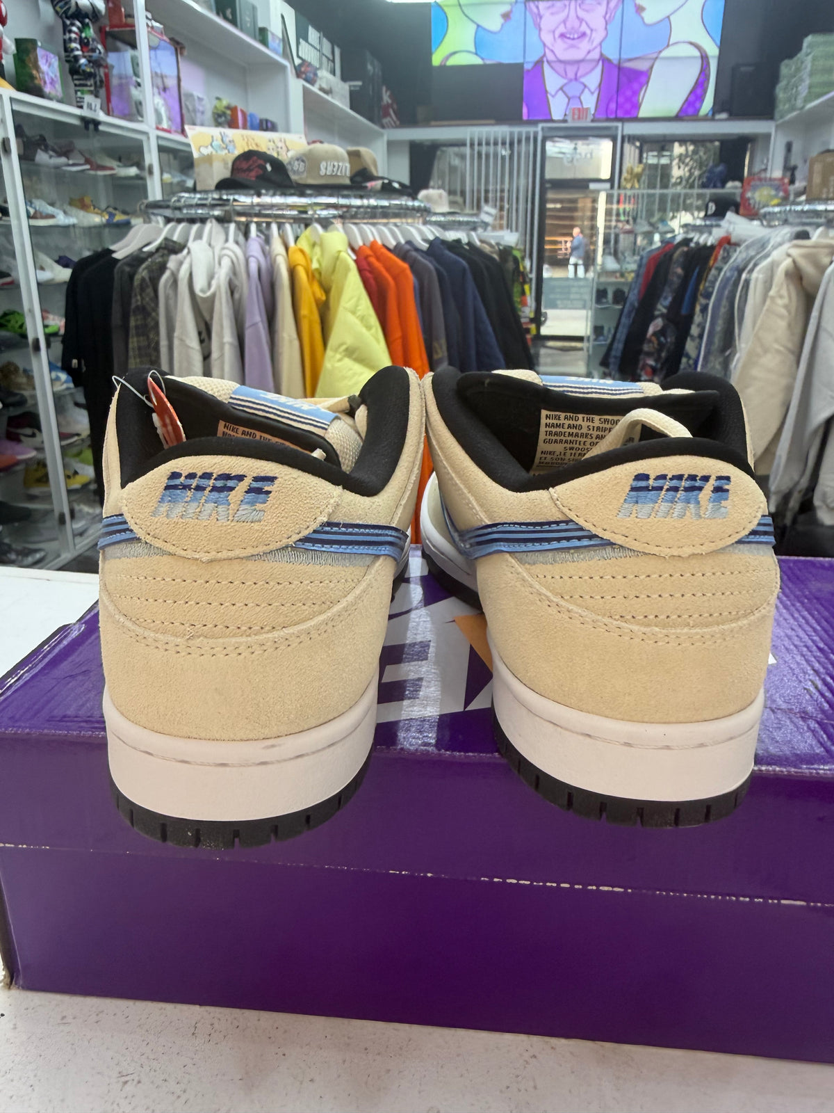 Nike Dunk Sb Truck It