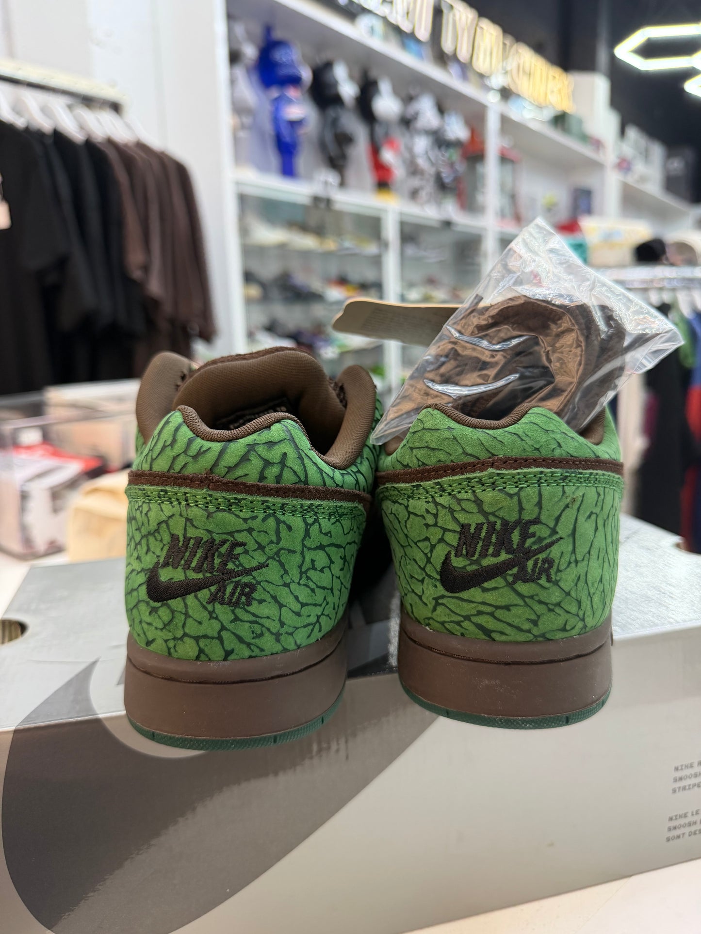 Nike SB Zoom Air Angus Charity Doernbecher 2004