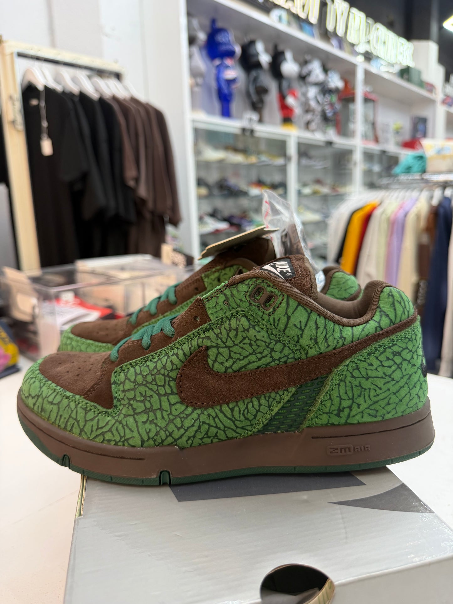 Nike SB Zoom Air Angus Charity Doernbecher 2004