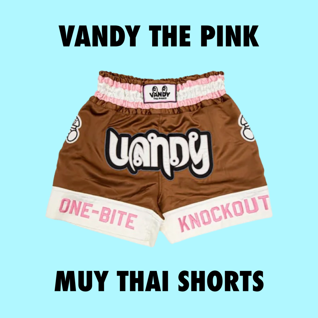 Vandy The Pink Thai Boxing Shorts Brown Large