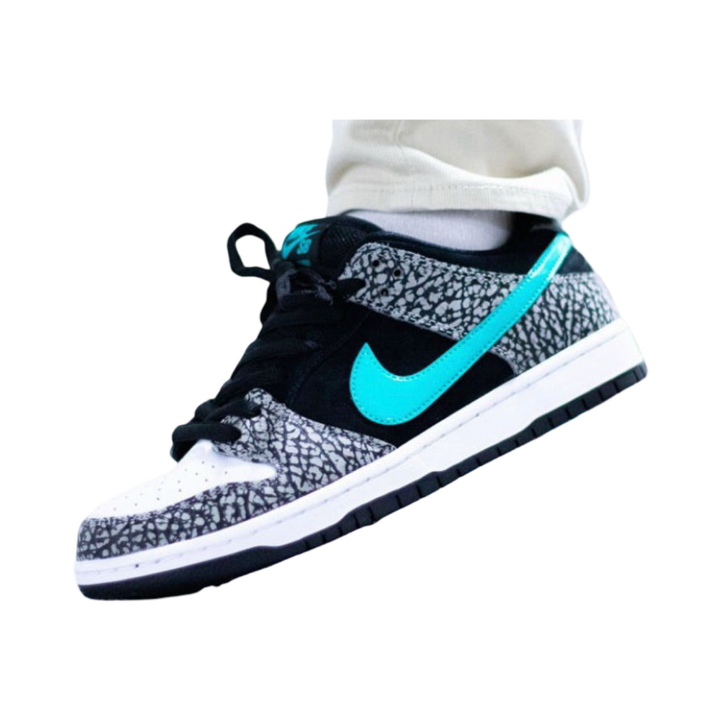 Nike Dunk Atmos SB
