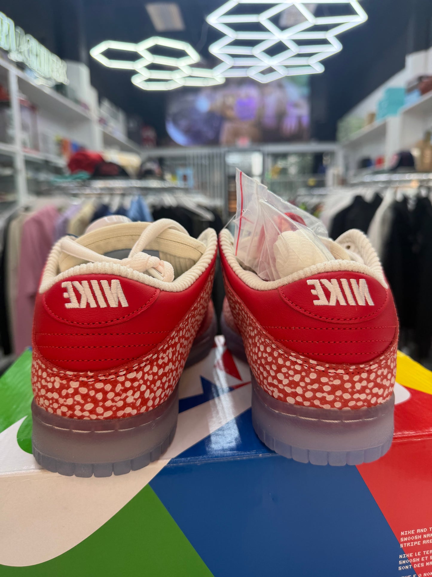 Nike Dunk SB STINGWATER