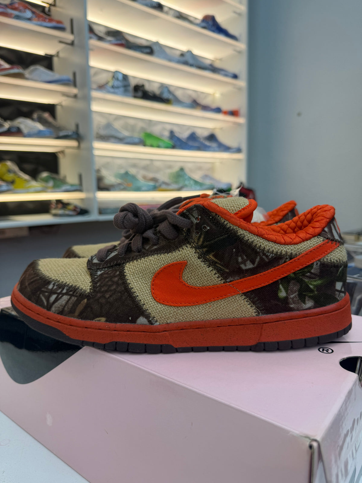 Nike SB Dunk Low Reese Forbes Hunter 2004