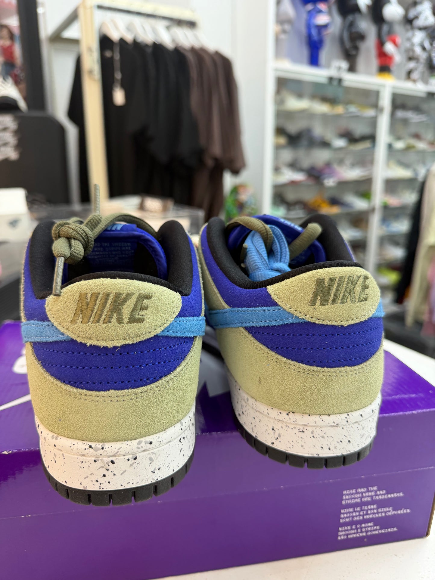 Nike Dunk SB ACG Celadon