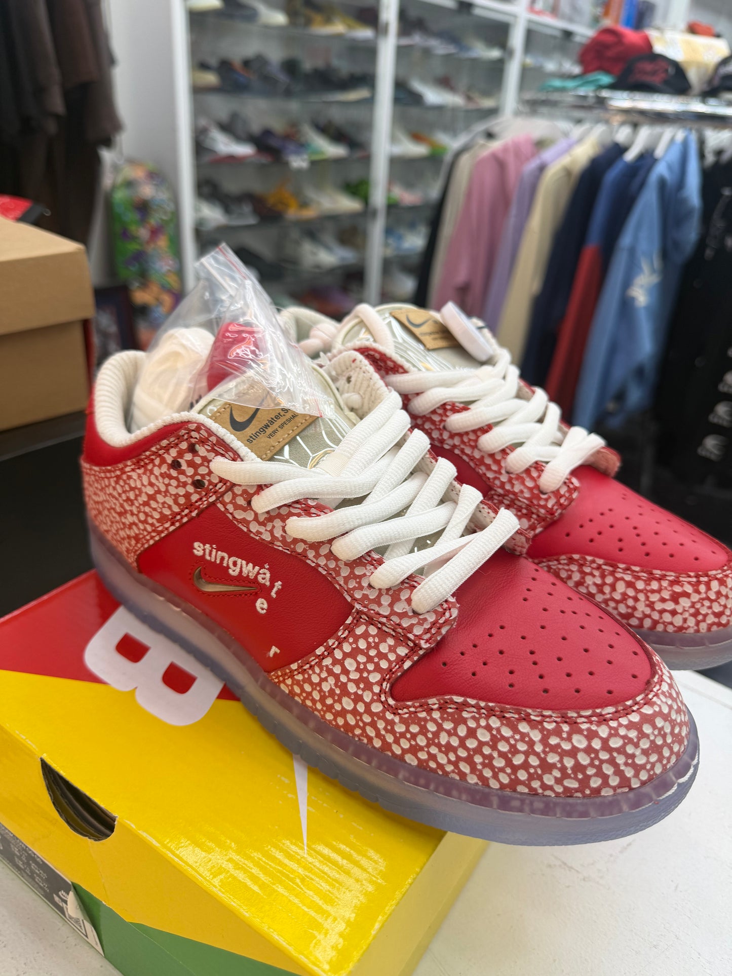 Nike Dunk SB STINGWATER