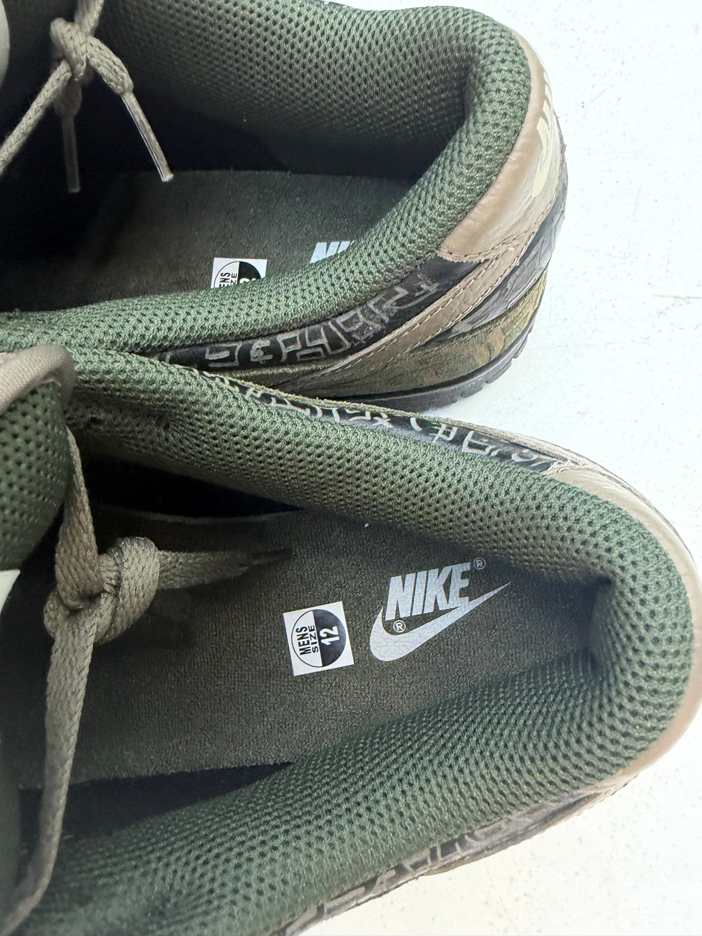 Nike Dunk SB Doernbecher 2013