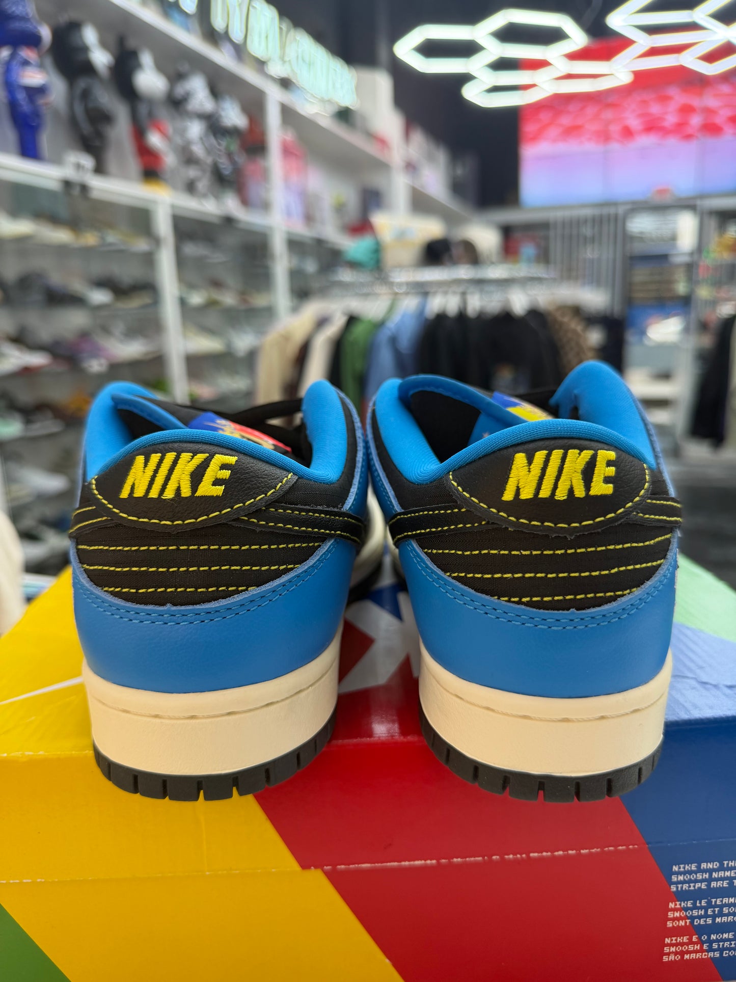 Nike SB Dunk Low Instant Skateboards