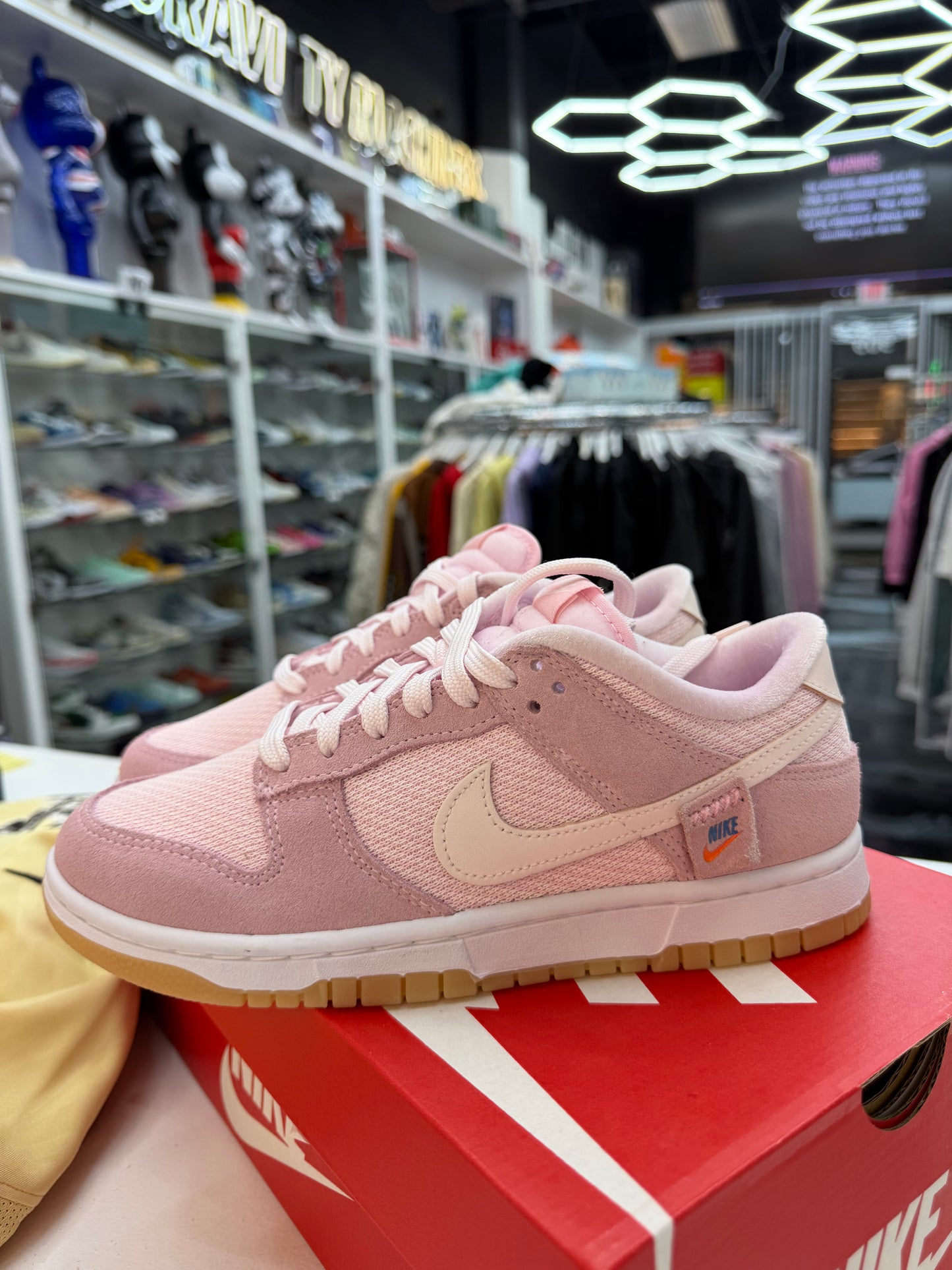 Nike Dunk Teddy Bear Pink