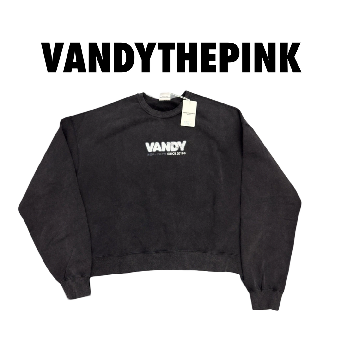 Vandy The Pink Anime Girl Crewneck