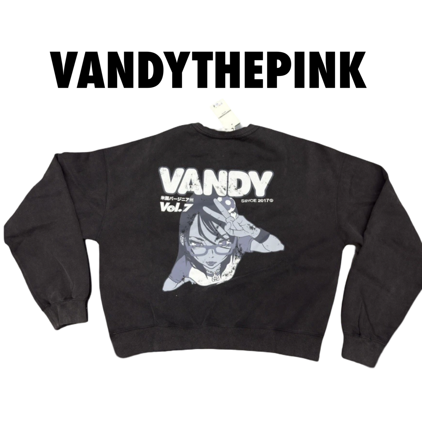 Vandy The Pink Anime Girl Crewneck