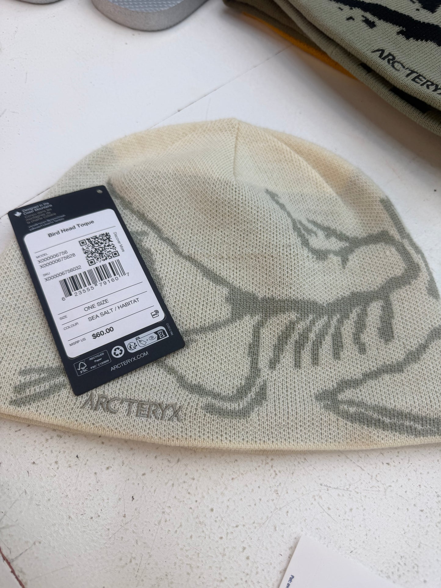 ARC’TERYX Bird Head Toque Beanie Sea Salt/Habitat