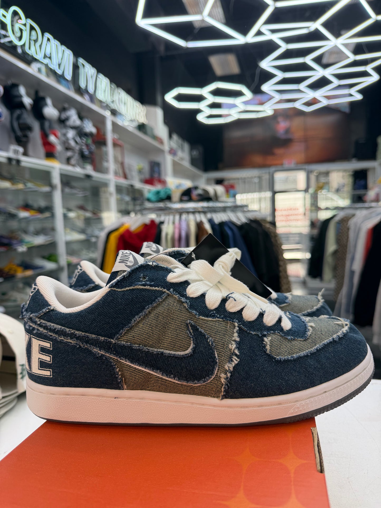 Nike Zoom Terminator Low Medicom 2005