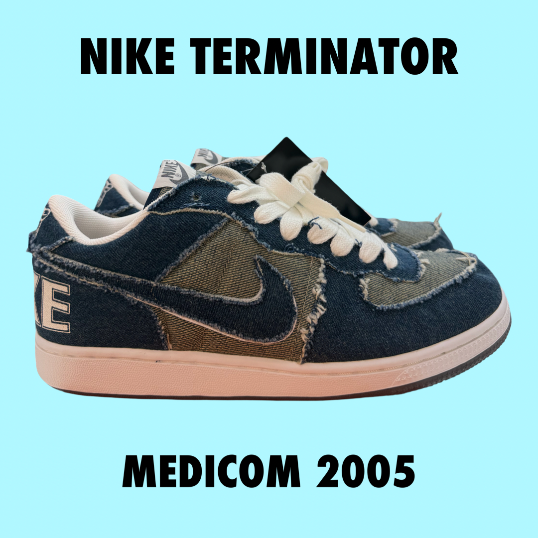 Nike Zoom Terminator Low Medicom 2005