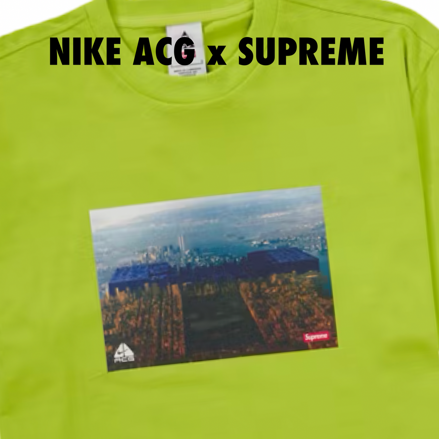 Supreme Nike ACG Grid Tee green