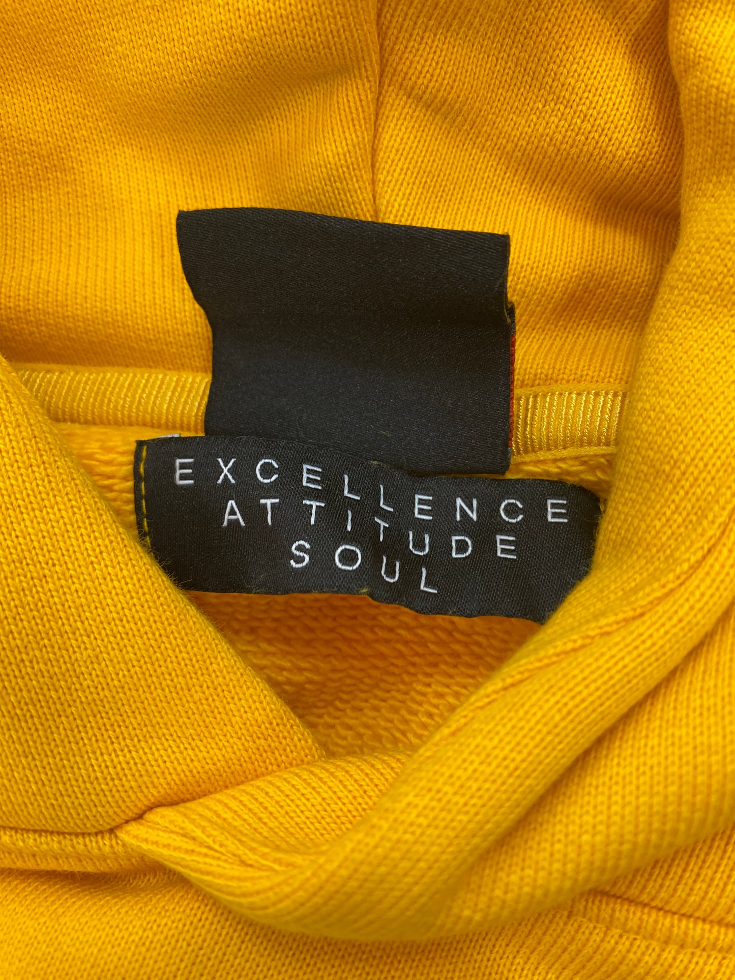 Jordan Excellence Attitude Soul Unreleased colorway sample hoodie
