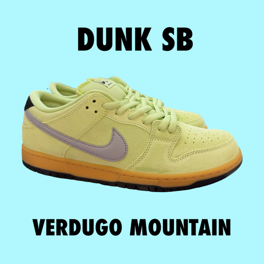 Nike Dunk SB VERDUGO Mountain