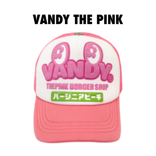 Vandy The Pink Trucket Hat Big Letters Pink