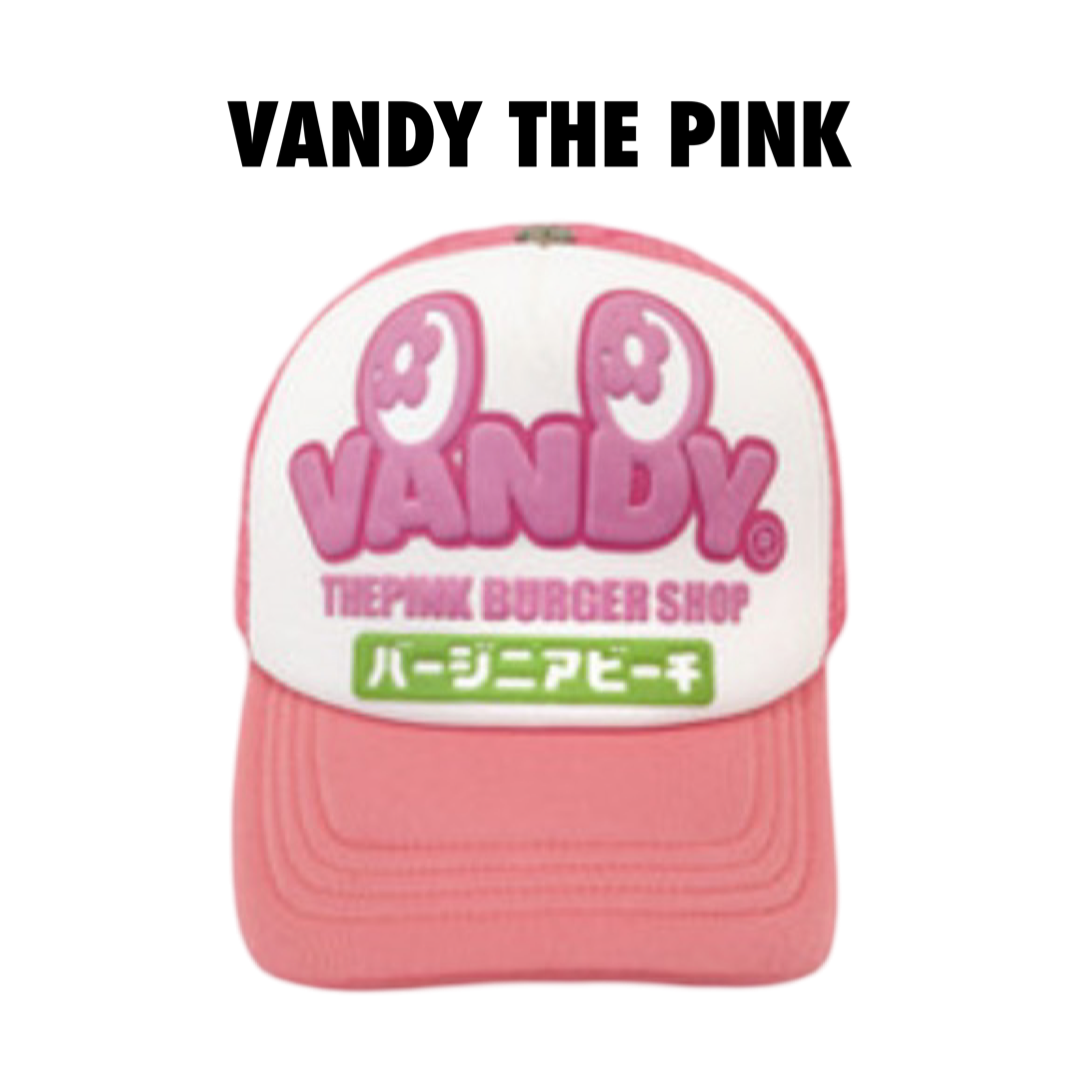 Vandy The Pink Trucket Hat Big Letters Pink