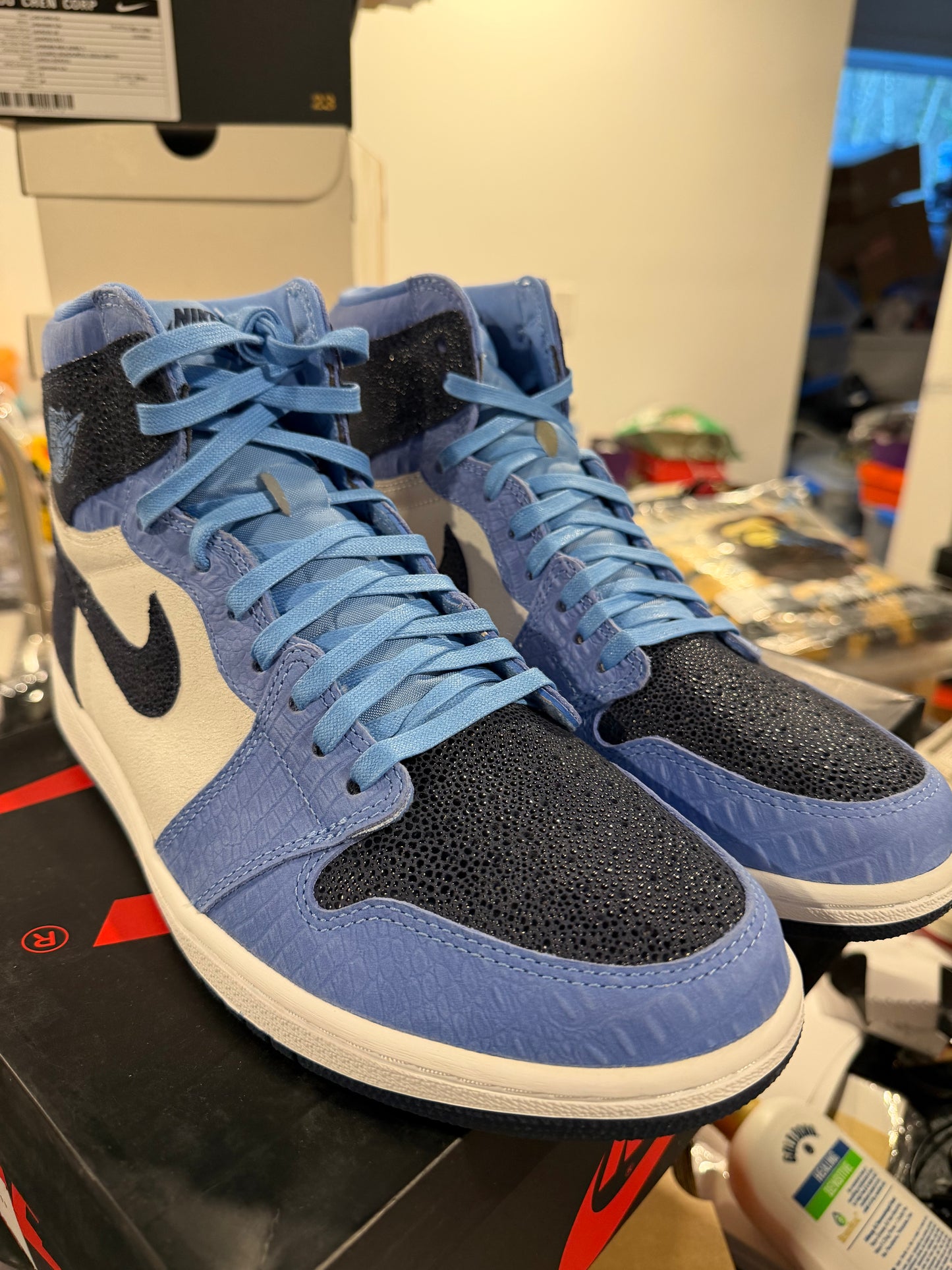 Jordan 1 Retro High UNC PE