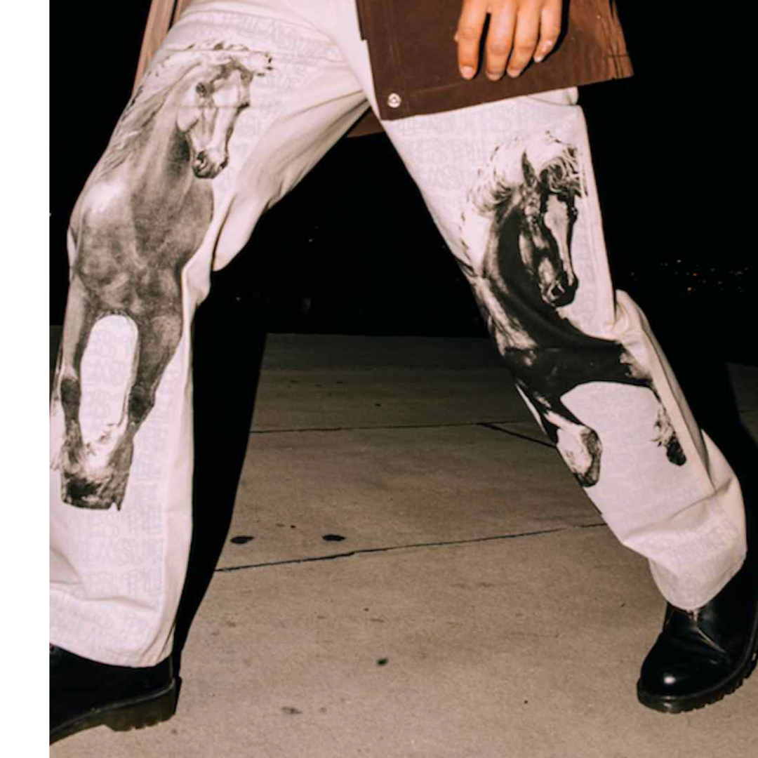 Pleasures x Dickies x Eric Haze Painter pants