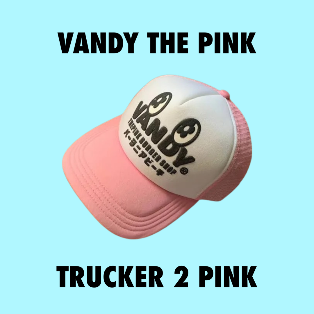 Vandy The Pink Trucket Hat Pink